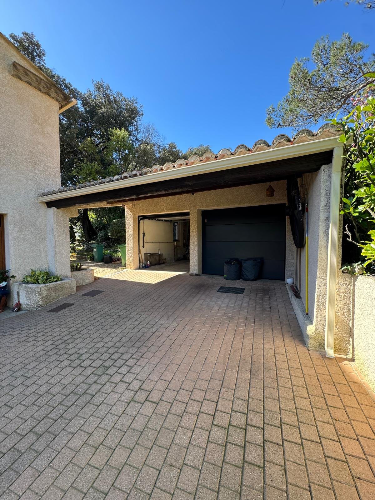 PHOTO-2025-03-31-14-53-21 3