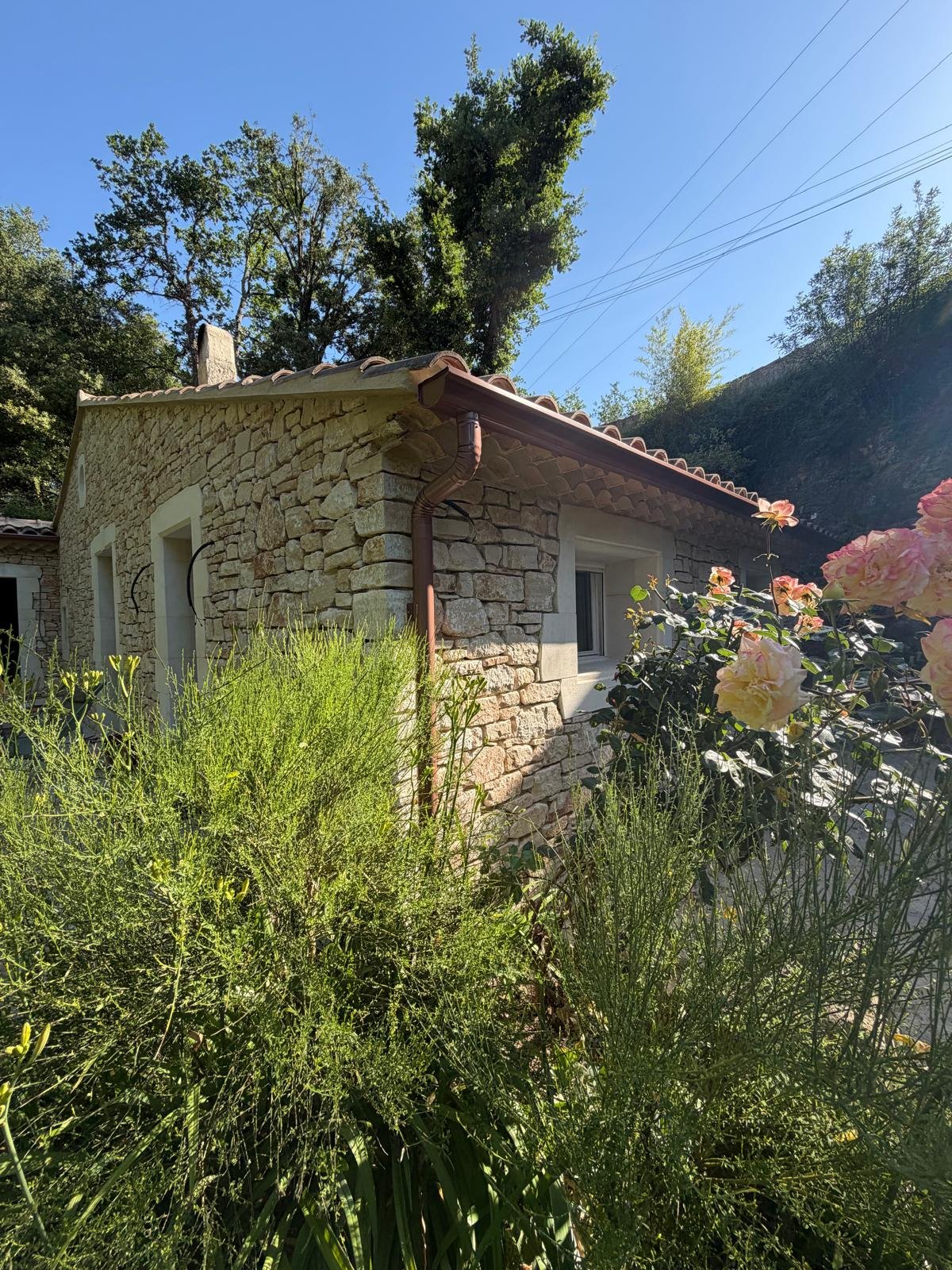 PHOTO-2026-05-29-19-52-19 2