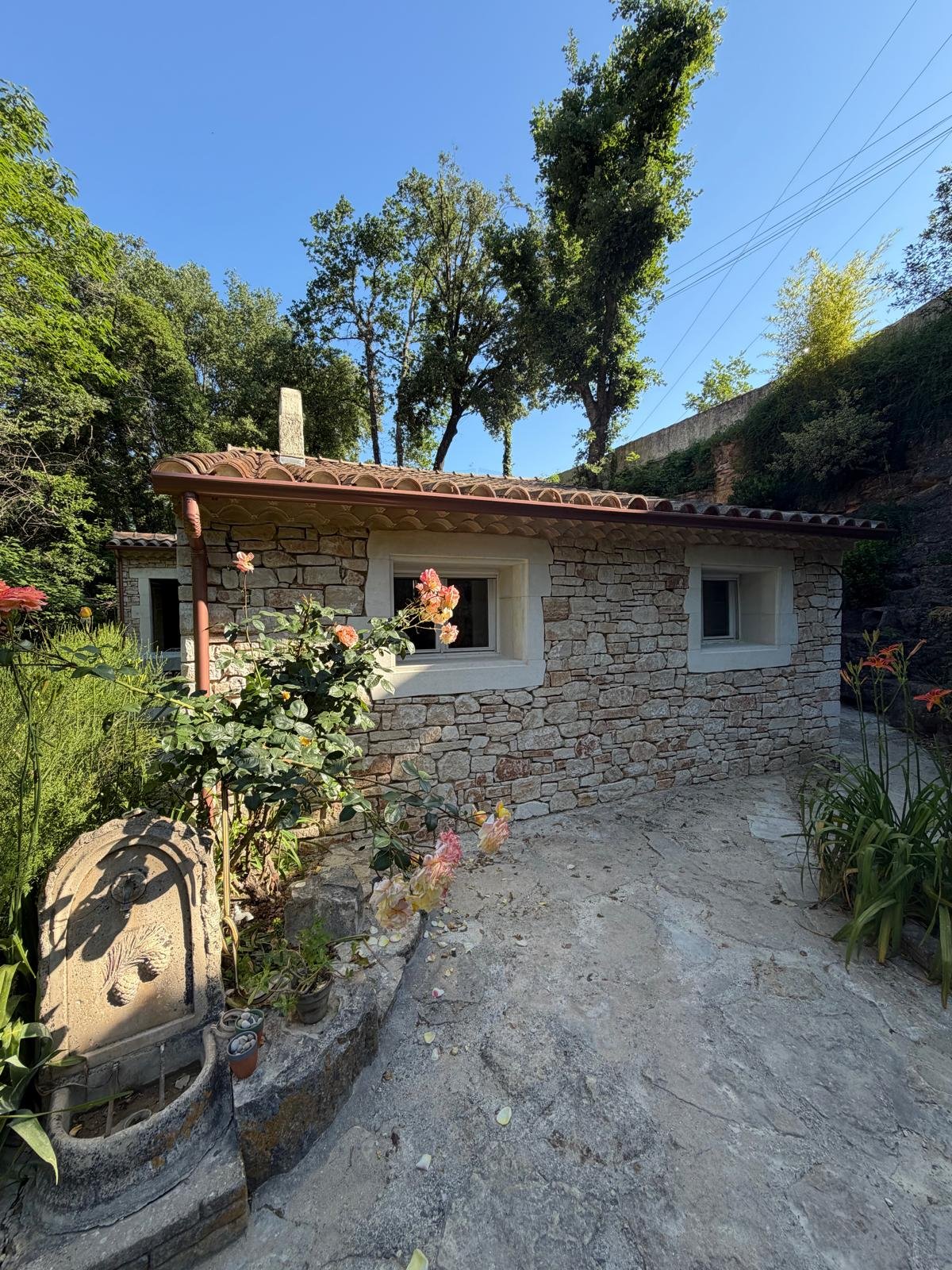 PHOTO-2026-05-29-19-52-19 5